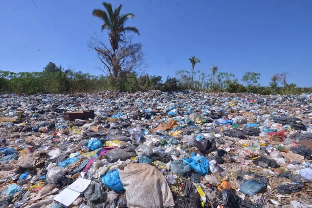 Mais de 75 cidades do Estado de Goiás já implementaram um serviço de coleta seletiva 