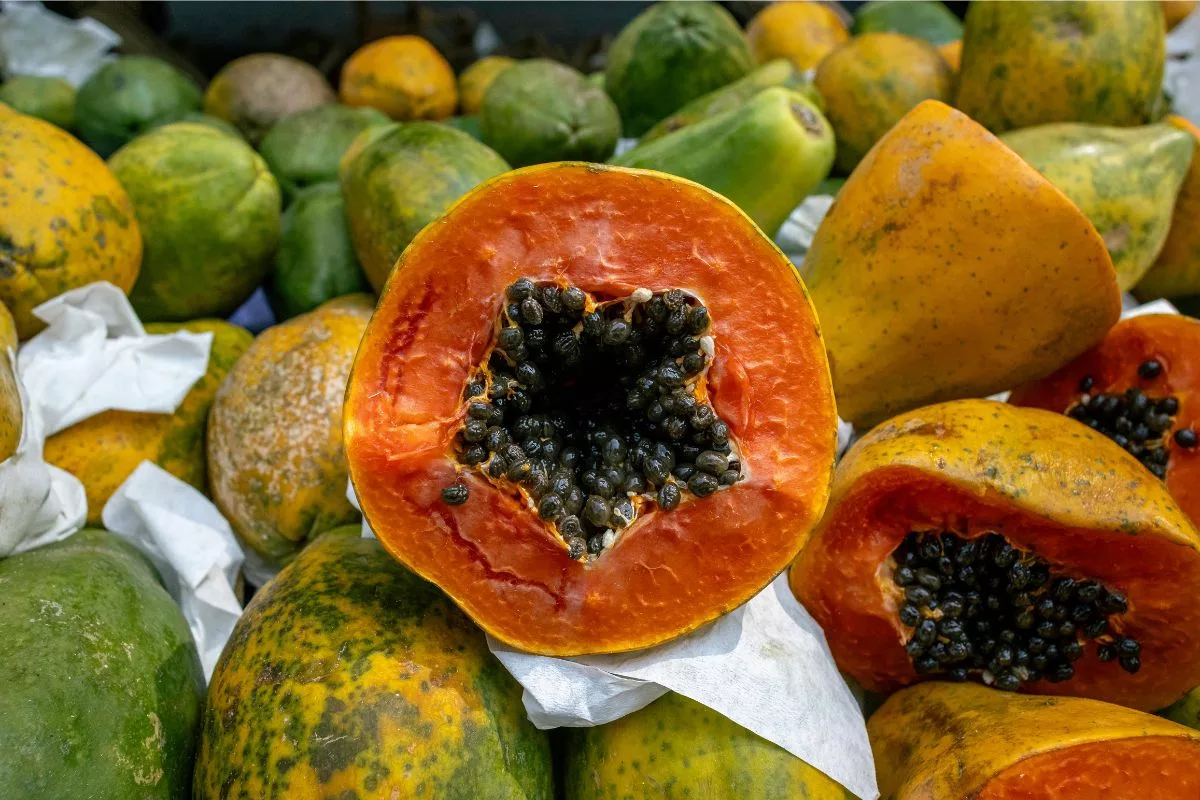 Mamão surpreende na lista das frutas que mais hidratam