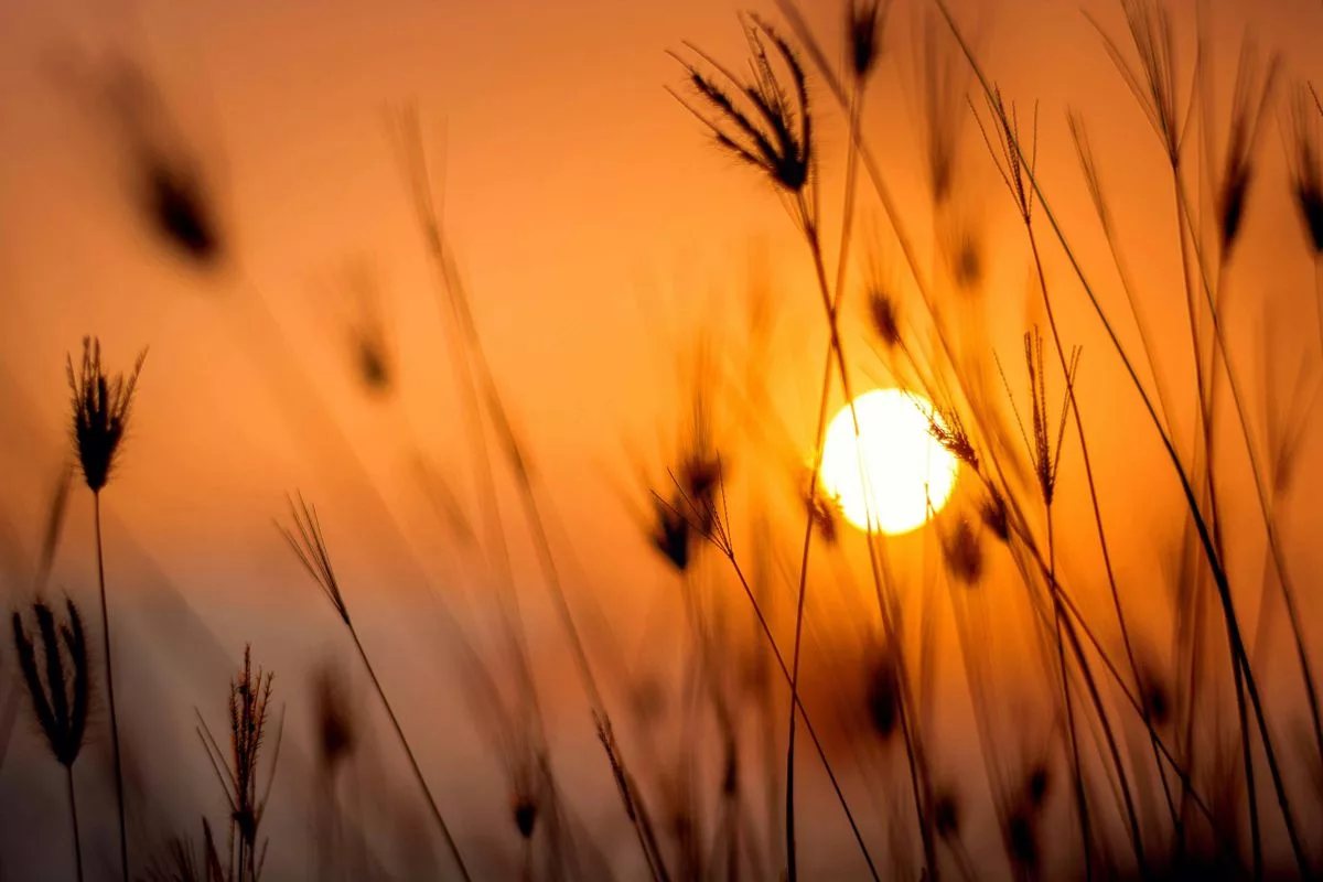 Durante ondas de calor, o risco de desidratação e doenças relacionadas ao calor aumenta significativamente