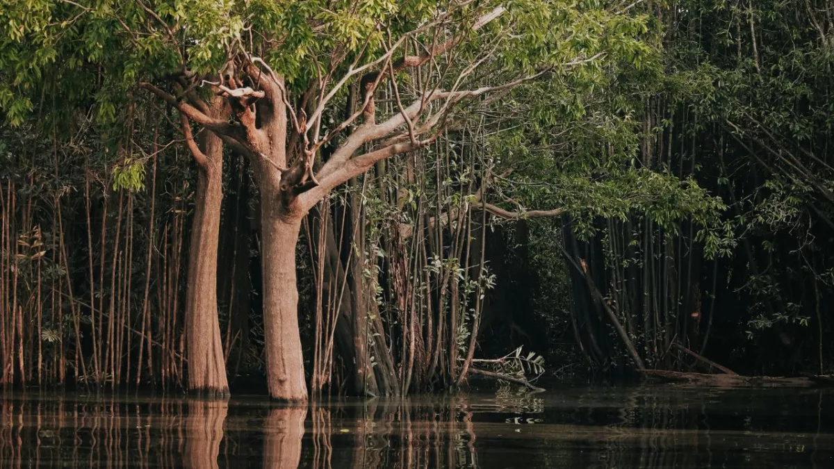 Os 20 destinos mais visitados do Brasil