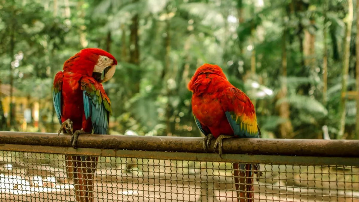 Os 20 destinos mais visitados do Brasil