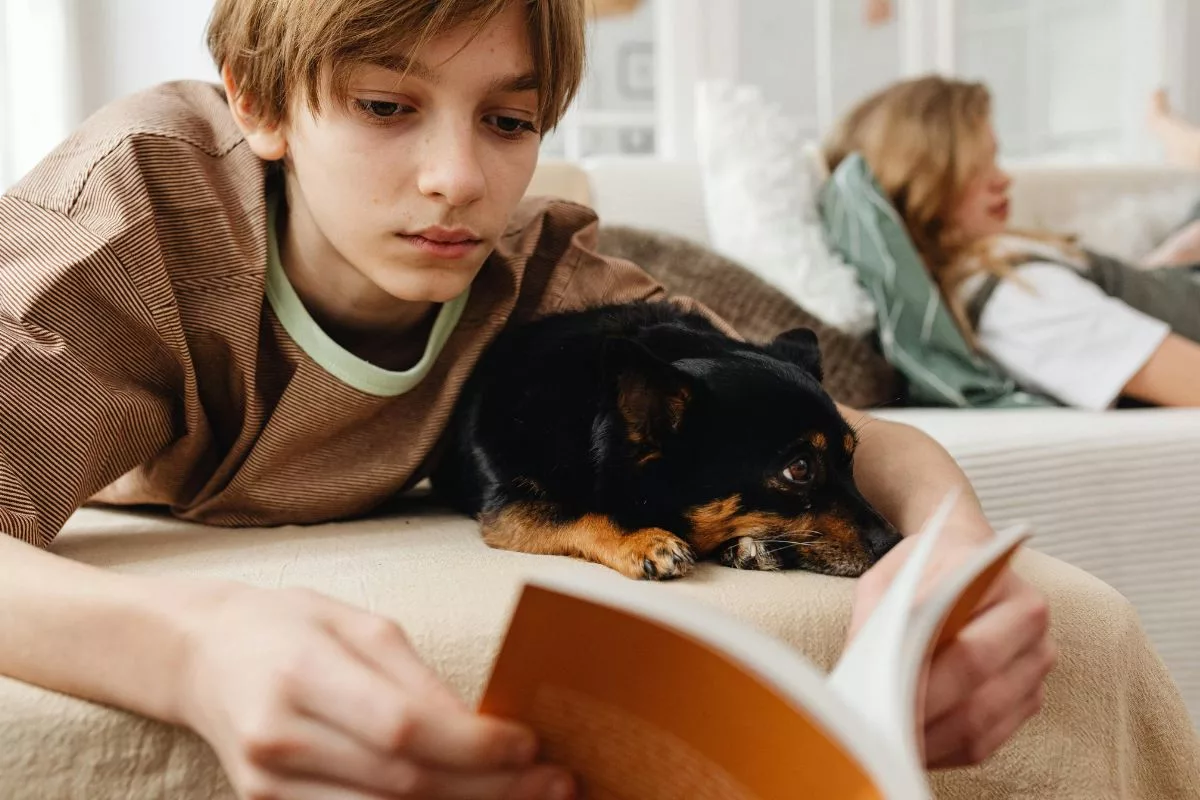 Cachorro é chamado de 'o melhor amigo do homem'