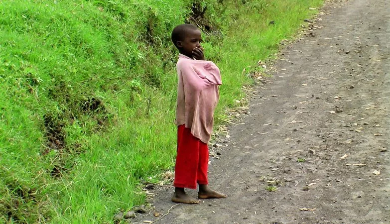 Risco alto de desenvolvimento de doenças em regiões da África, onde animais selvagens servem como alimentação