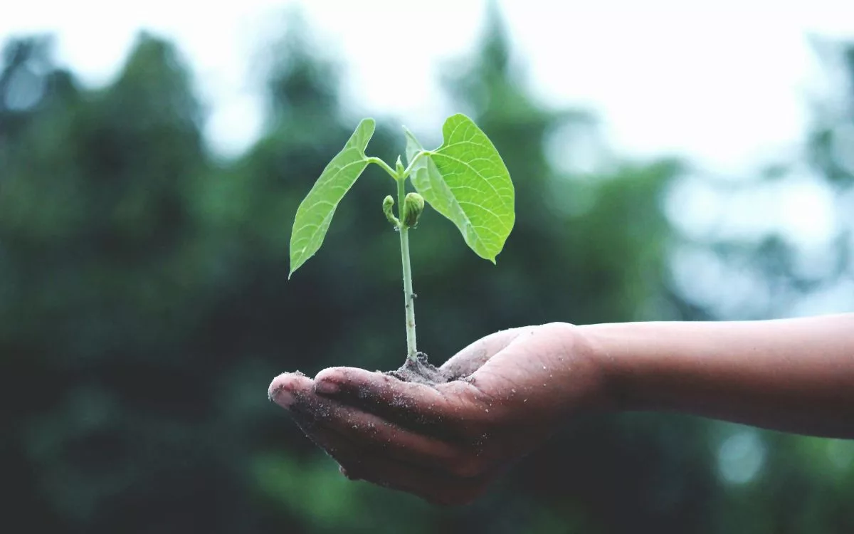 Todo o trabalho de sustentabilidade e cidadania tem como objetivo manter o planeta saudável para as próximas gerações