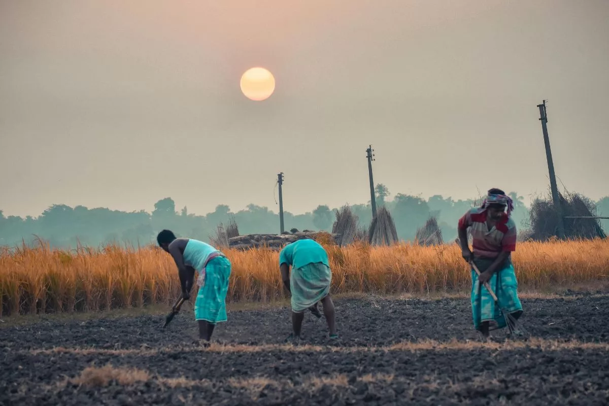 Ao longo da história, os agricultores têm utilizado as fases da Lua para otimizar suas colheitas