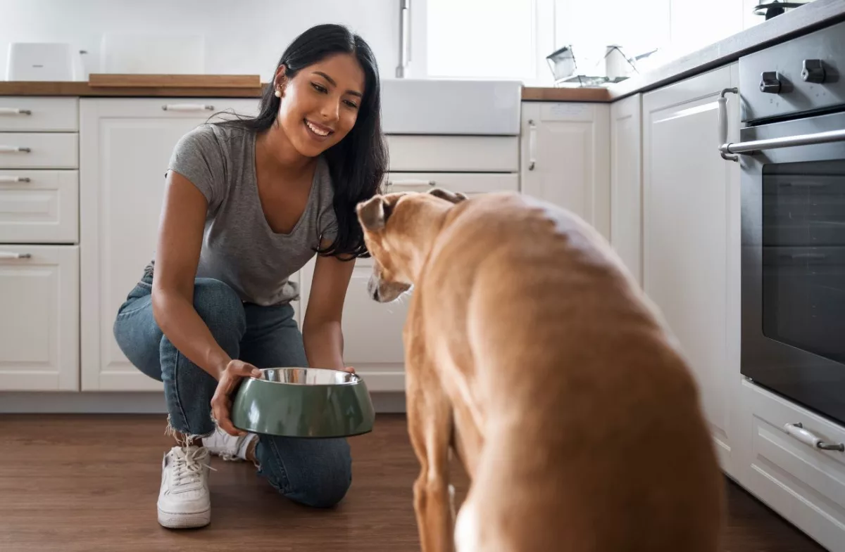 Dependendo da idade, os cuidados mudam com os animais de estimação