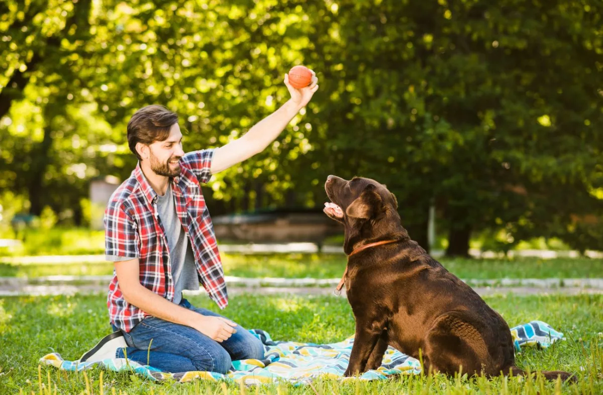 Manter os pets com atividades físicas faz parte do trabalho de quem quer ter um animalzinho de estimação