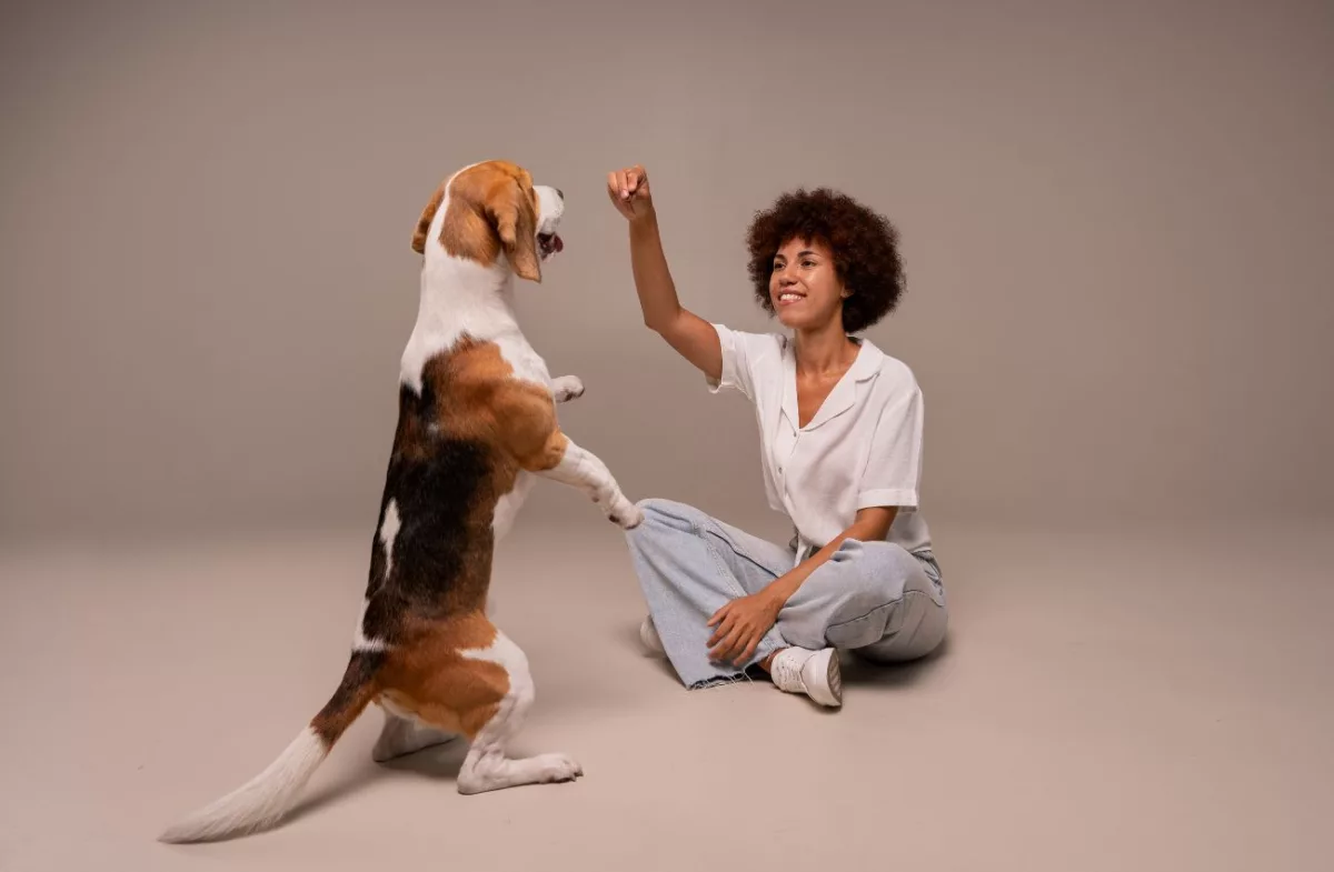 Além dos cuidados, muito amor: os pets agradecem