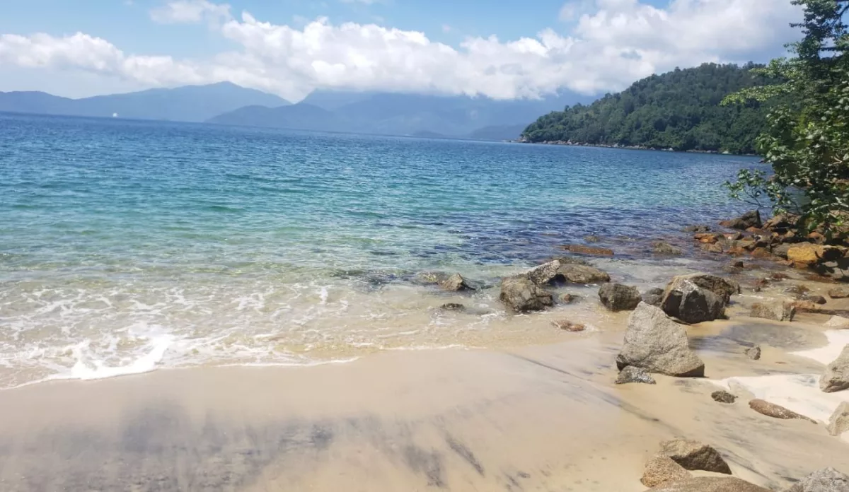 A praia de Sororoca tem águas cristalinas e muita vida marinha