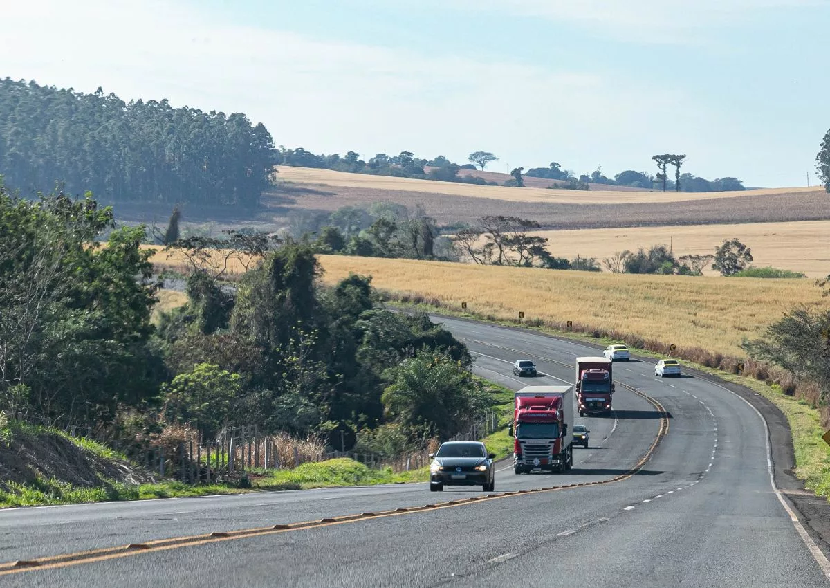 Fazenda do Paraná mantém desconto de 6% e IPVA 2026 pode ficar quase 50% mais barato 